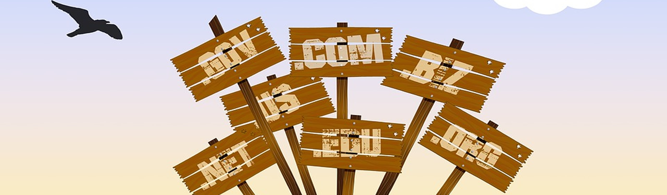 Domain Registration description